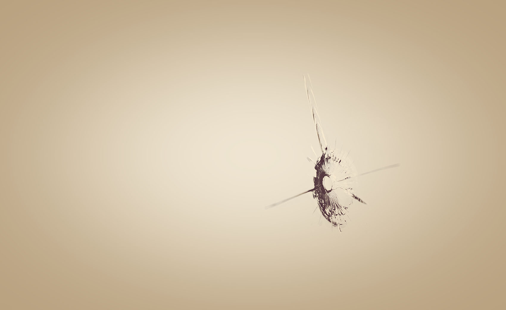 The windshield repair process only takes about 30 minutes or less!